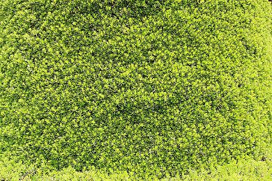 育碧游戏《勇敢的心：回家》将登陆PC和主机平台