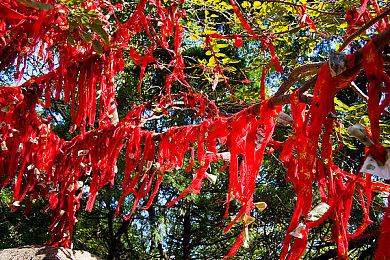 前R星开发者谈厂商们改用虚幻5引擎开发游戏：操之过急