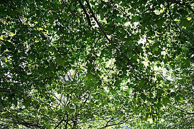 MMORPG《Pioner》新实机 预计年内发售